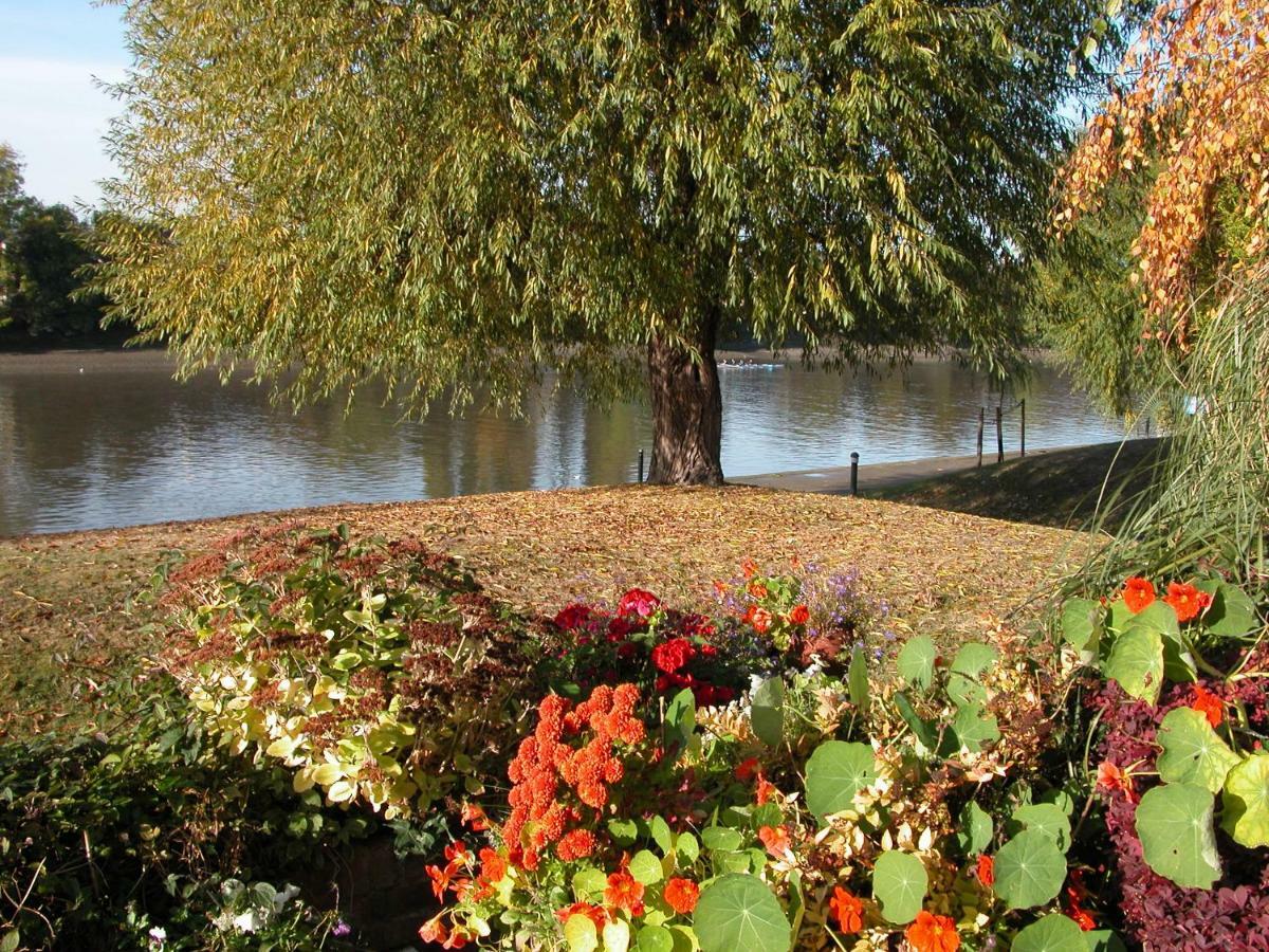 Chiswick Riviera With Free Parking Bed & Breakfast Londra Dış mekan fotoğraf