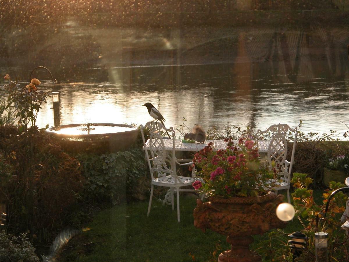 Chiswick Riviera With Free Parking Bed & Breakfast Londra Dış mekan fotoğraf